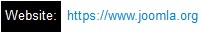 website: url value