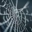 Using custom fields to select items in Simplify Your Web extensions